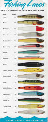 Creek Chub Pikies