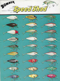 Bomber Speed Shad