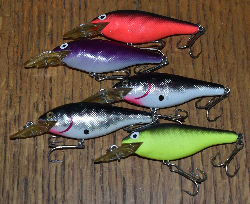 5 Rebel Shallow Floaters