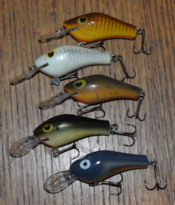 5 Poe Shallow Crankbaits