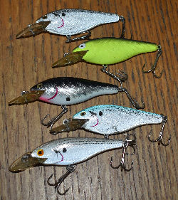 5 Rebel Shallow Runners