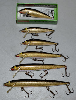 6 Rapala
