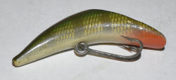 Twinminnow