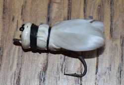 Wright & McGill Flying Moth