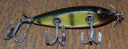 Injured Minnow