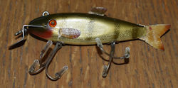 Fintail Shiner