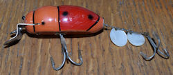 Beetle