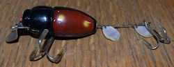 Beetle