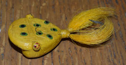 Muk-Cha-Ko Frog