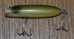Saltwater Bass-oreno