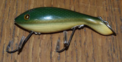 tadpolly